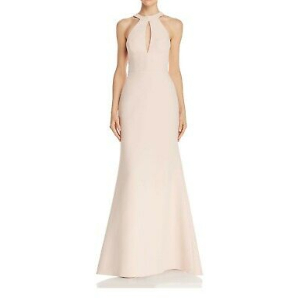 BCBG Blush Formal Evening Gown